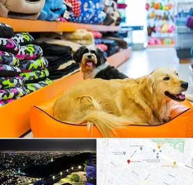 پت شاپ عمده در هفت تیر مشهد