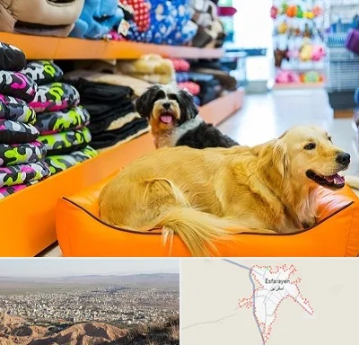 پت شاپ عمده در اسفراین