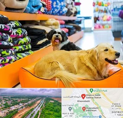 پت شاپ عمده در قصرالدشت شیراز