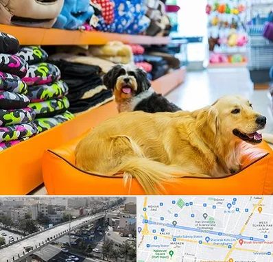 پت شاپ عمده در فرجام