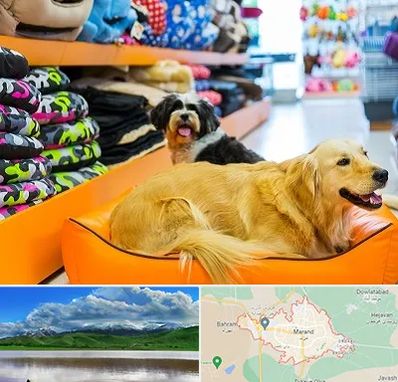 پت شاپ عمده در مرند