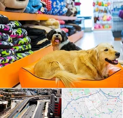 پت شاپ عمده در ستارخان شیراز