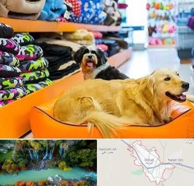 پت شاپ عمده در دورود