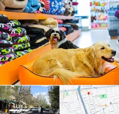 پت شاپ عمده در کوی فیروز تبریز