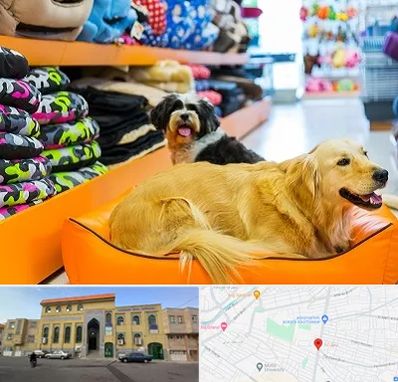 پت شاپ عمده در زنبیل آباد قم