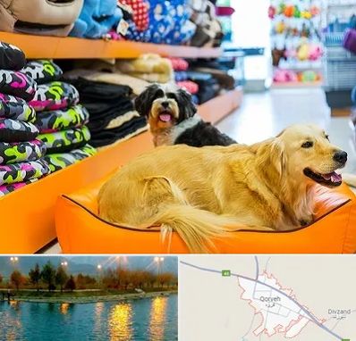 پت شاپ عمده در قروه