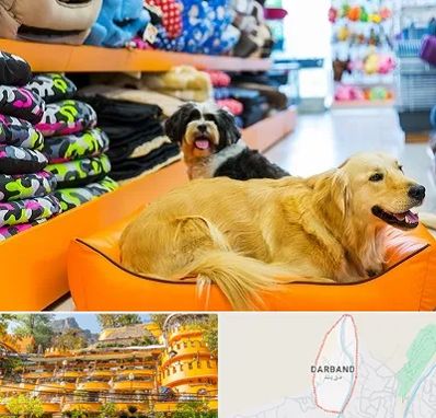 پت شاپ عمده در دربند