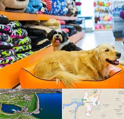 پت شاپ عمده در مهاباد