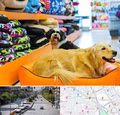 پت شاپ عمده در خیابان زند شیراز