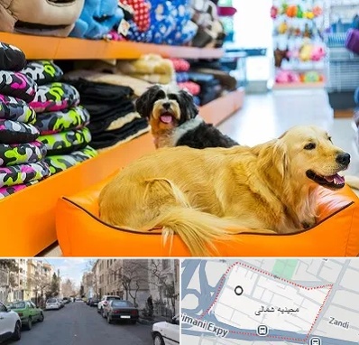 پت شاپ عمده در مجیدیه شمالی