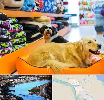 پت شاپ عمده در خرمشهر