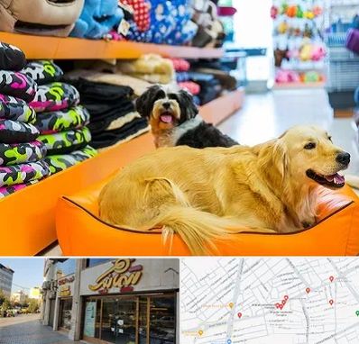 پت شاپ عمده در عطاران قم