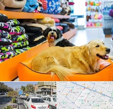 پت شاپ عمده در مفتح مشهد