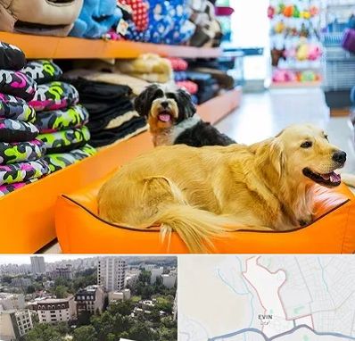 پت شاپ عمده در اوین