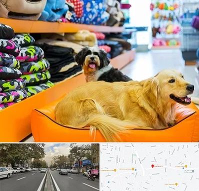 پت شاپ عمده در دولت