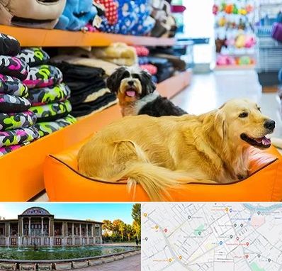 پت شاپ عمده در عفیف آباد شیراز