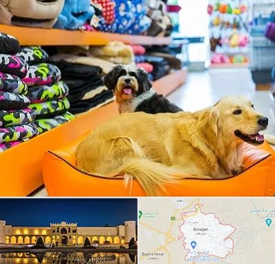 پت شاپ عمده در برازجان