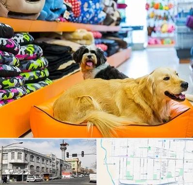 پت شاپ عمده در 17شهریور