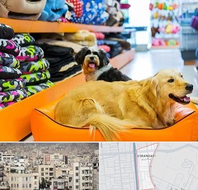 پت شاپ عمده در اسکندری