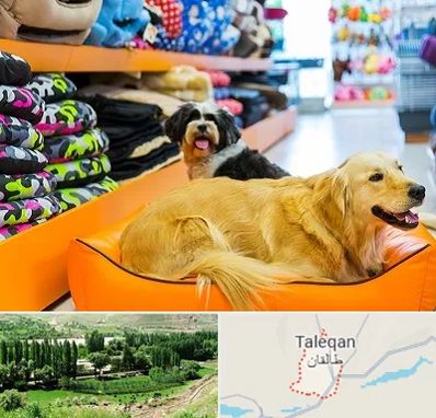 پت شاپ عمده در طالقان