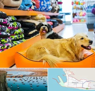 پت شاپ عمده در چابهار