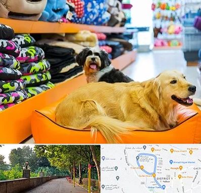 پت شاپ عمده در فلکه گاز رشت