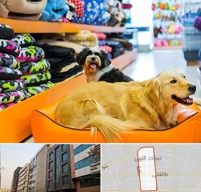پت شاپ عمده در نجات اللهی