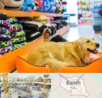 پت شاپ عمده در بانه