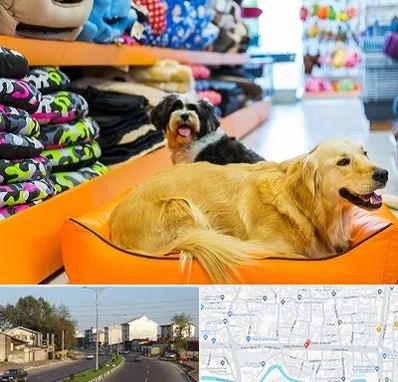 پت شاپ عمده در ضیابری رشت