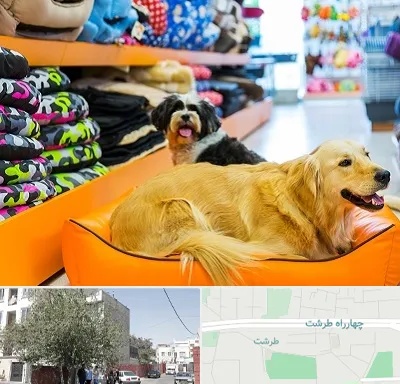 پت شاپ عمده در طرشت