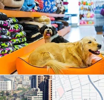 پت شاپ عمده در خیابان بهشتی