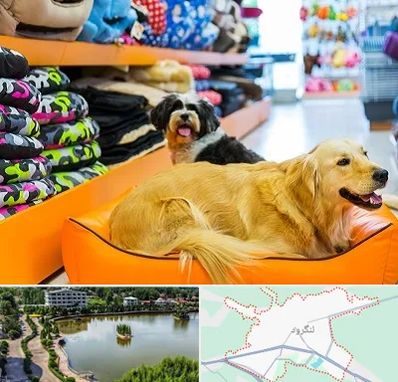 پت شاپ عمده در لنگرود