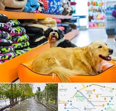 پت شاپ عمده در خیابان ارم شیراز