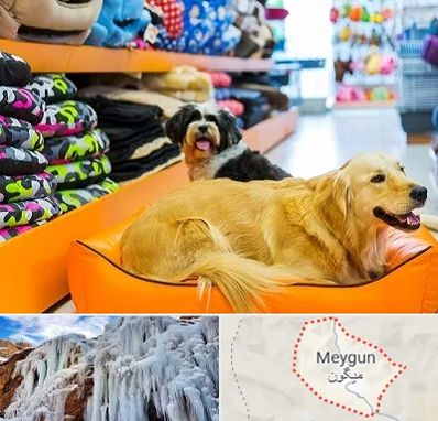 پت شاپ عمده در میگون