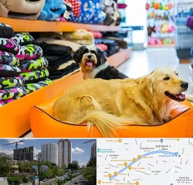 پت شاپ عمده در اندرزگو