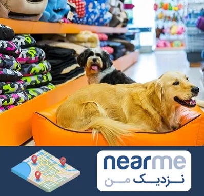 پت شاپ عمده در نزدیک من