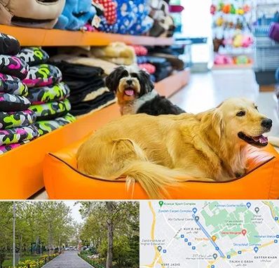 پت شاپ عمده در قدوسی غربی شیراز