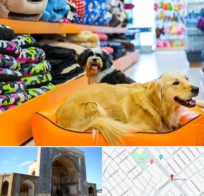 پت شاپ عمده در مصلی مشهد