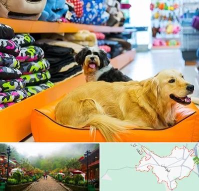 پت شاپ عمده در فومن