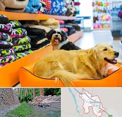 پت شاپ عمده در سراوان