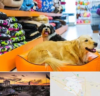 پت شاپ عمده در قوچان