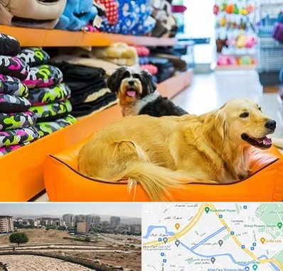 پت شاپ عمده در کوی وحدت شیراز