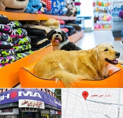پت شاپ عمده در امین حضور