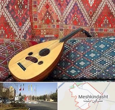 آموزشگاه ساز عود در مشکین دشت