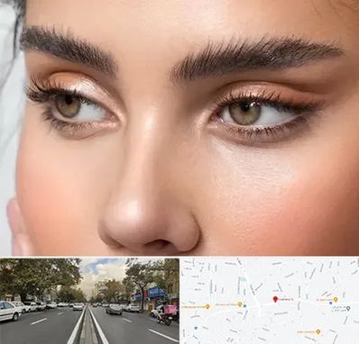 کانتو پلاستی در دولت