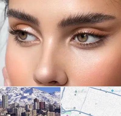 کانتو پلاستی در ازگل