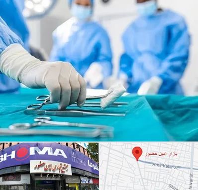 مونس پلاستی در امین حضور