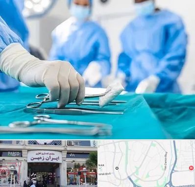 مونس پلاستی در ایران زمین