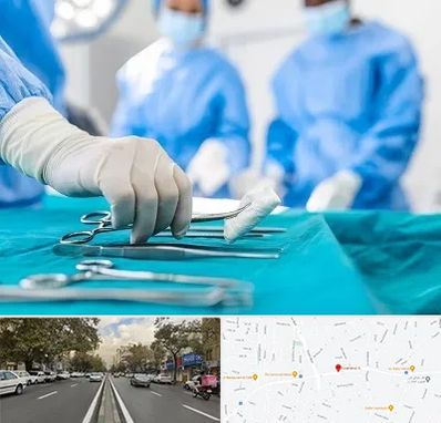 مونس پلاستی در دولت