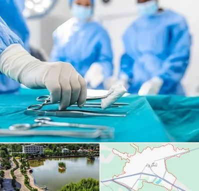 مونس پلاستی در لنگرود